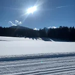 Lejlighed Haus Anna Ramsau am Dachstein