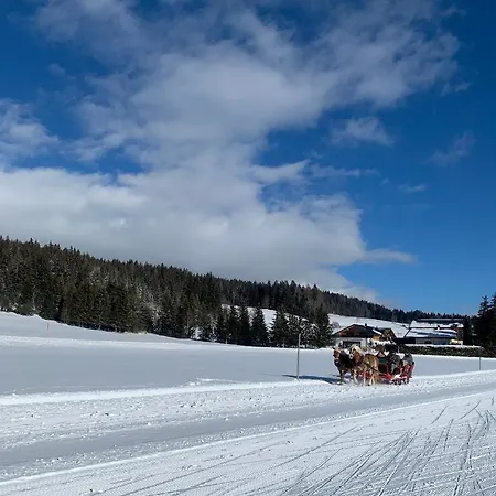 Haus Anna Apartment Ramsau am Dachstein