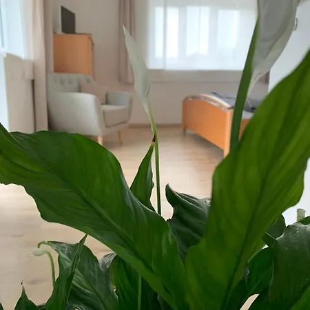 Haus Anna