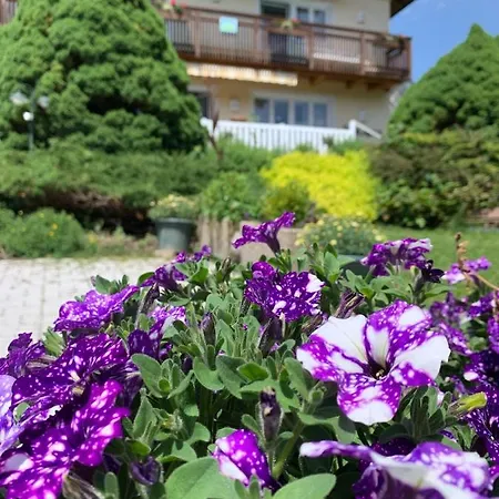 Haus Anna Apartment *