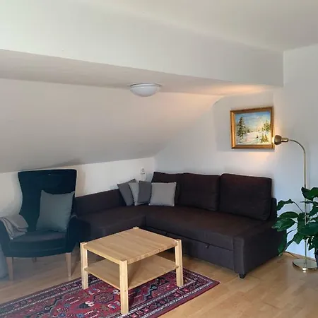 Apartment Haus Anna Ramsau am Dachstein