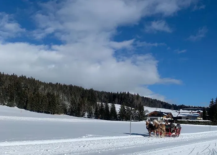 Haus Anna Apartment Ramsau am Dachstein