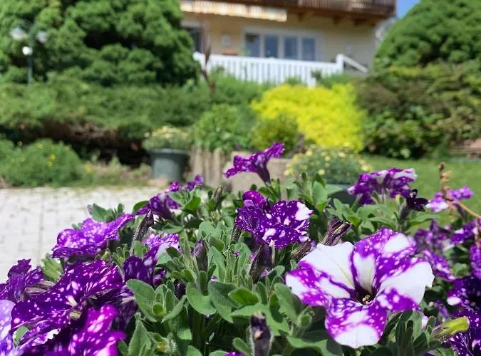 Haus Anna Apartment *